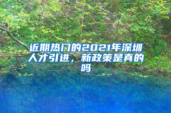 近期热门的2021年深圳人才引进，新政策是真的吗