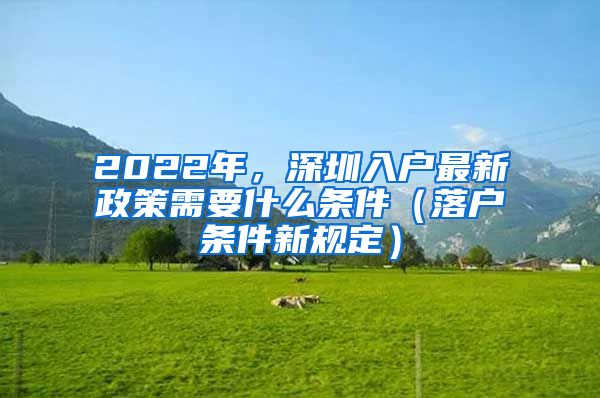 2022年，深圳入户最新政策需要什么条件（落户条件新规定）