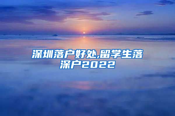 深圳落户好处,留学生落深户2022