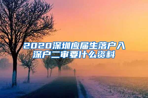 2020深圳应届生落户入深户二审要什么资料