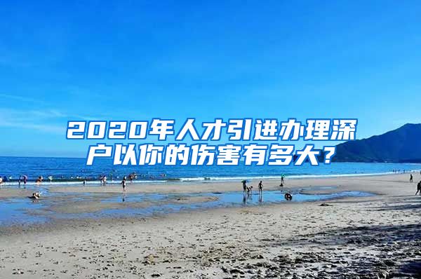 2020年人才引进办理深户以你的伤害有多大？