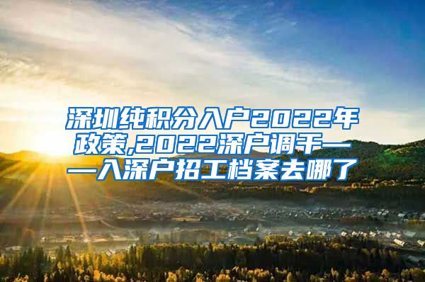 深圳纯积分入户2022年政策,2022深户调干——入深户招工档案去哪了