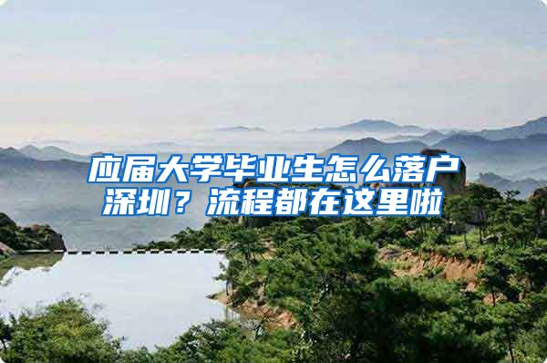 应届大学毕业生怎么落户深圳？流程都在这里啦