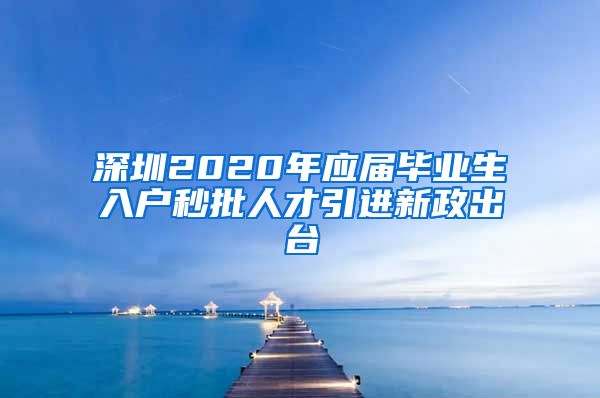 深圳2020年应届毕业生入户秒批人才引进新政出台