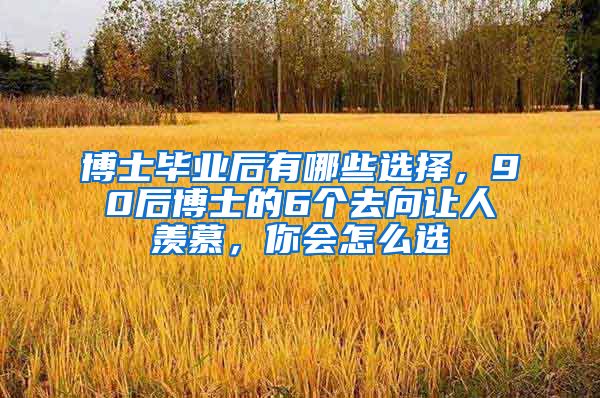 博士毕业后有哪些选择，90后博士的6个去向让人羡慕，你会怎么选