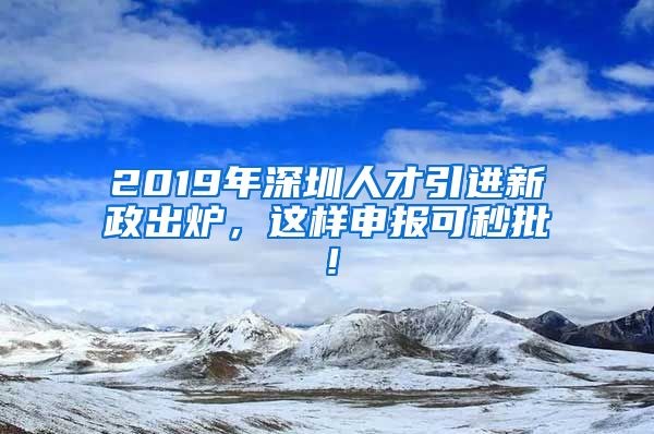 2019年深圳人才引进新政出炉，这样申报可秒批！