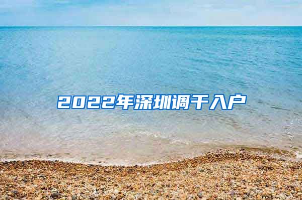 2022年深圳调干入户