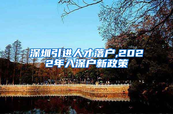 深圳引进人才落户,2022年入深户新政策