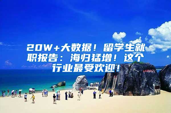 20W+大数据！留学生就职报告：海归猛增！这个行业最受欢迎！