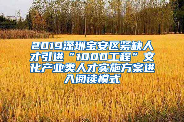 2019深圳宝安区紧缺人才引进“1000工程”文化产业类人才实施方案进入阅读模式