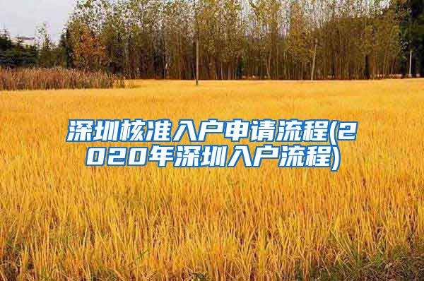 深圳核准入户申请流程(2020年深圳入户流程)