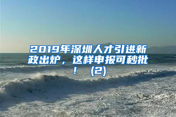 2019年深圳人才引进新政出炉，这样申报可秒批！ (2)