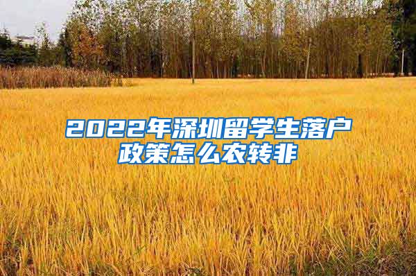 2022年深圳留学生落户政策怎么农转非