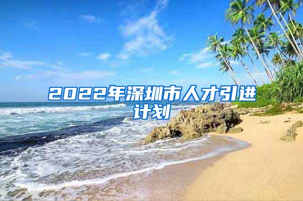2022年深圳市人才引进计划