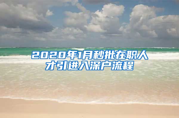 2020年1月秒批在职人才引进入深户流程