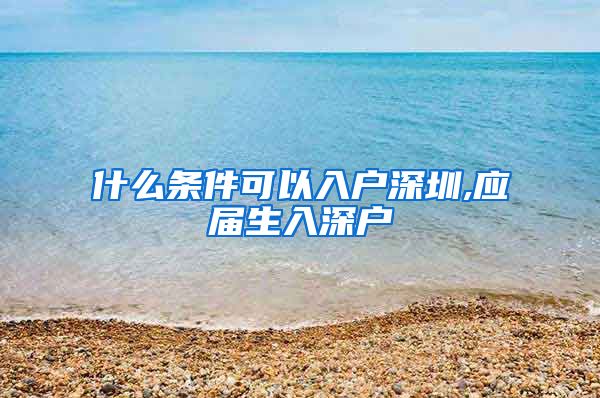 什么条件可以入户深圳,应届生入深户