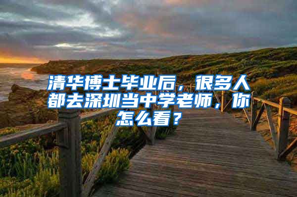 清华博士毕业后，很多人都去深圳当中学老师，你怎么看？