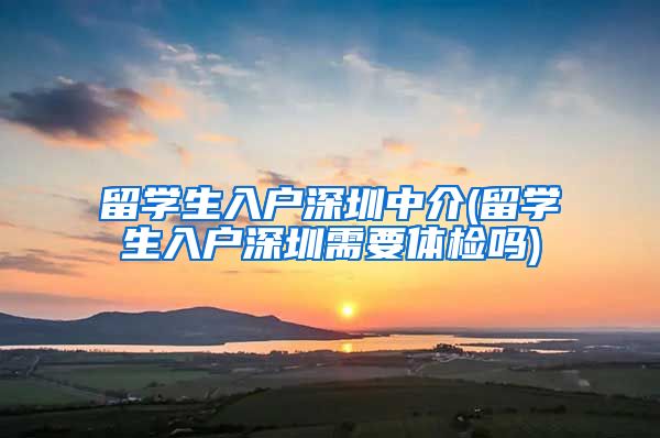 留学生入户深圳中介(留学生入户深圳需要体检吗)