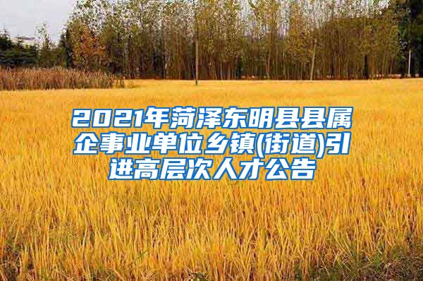 2021年菏泽东明县县属企事业单位乡镇(街道)引进高层次人才公告