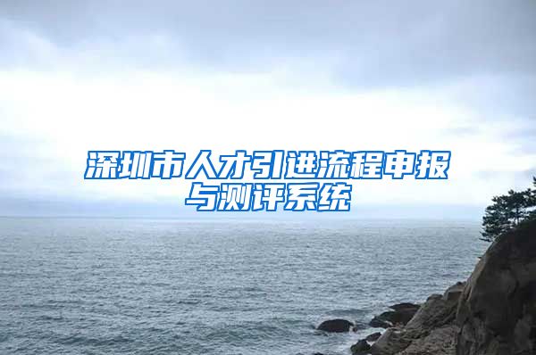 深圳市人才引进流程申报与测评系统