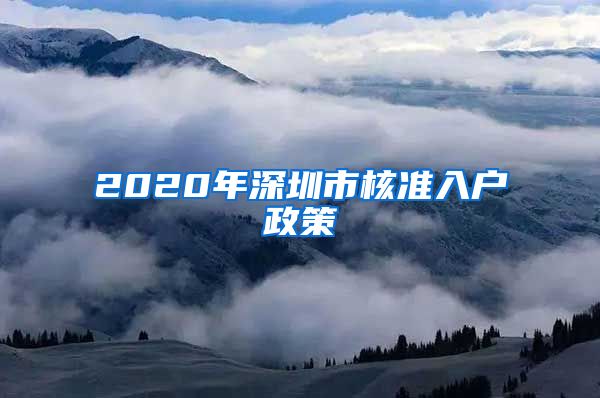 2020年深圳市核准入户政策