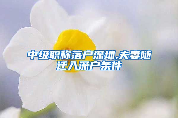 中级职称落户深圳,夫妻随迁入深户条件