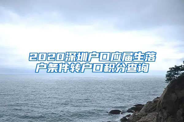 2020深圳户口应届生落户条件转户口积分查询