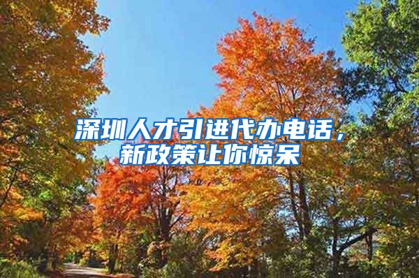 深圳人才引进代办电话，新政策让你惊呆