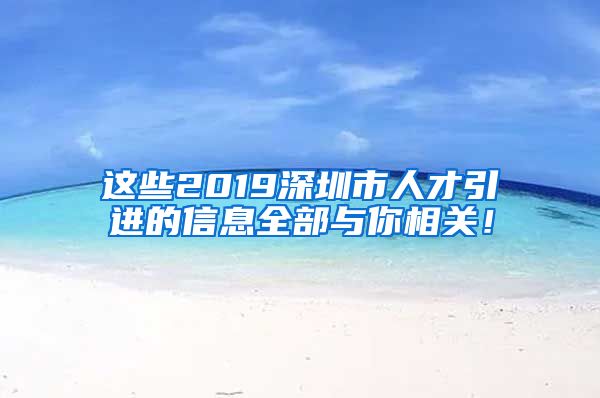 这些2019深圳市人才引进的信息全部与你相关！