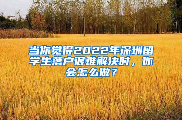 当你觉得2022年深圳留学生落户很难解决时，你会怎么做？