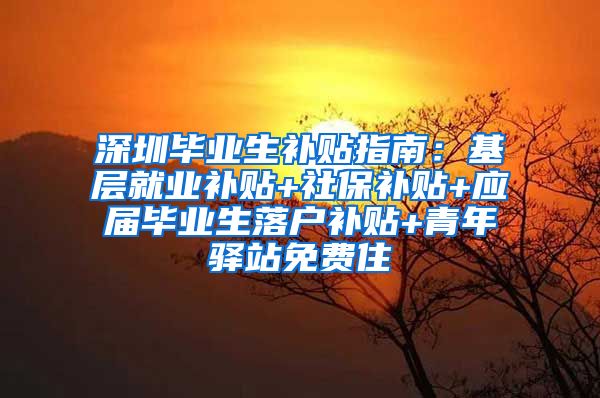 深圳毕业生补贴指南：基层就业补贴+社保补贴+应届毕业生落户补贴+青年驿站免费住