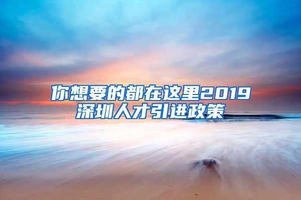 你想要的都在这里2019深圳人才引进政策