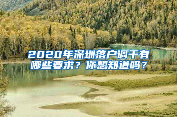 2020年深圳落户调干有哪些要求？你想知道吗？