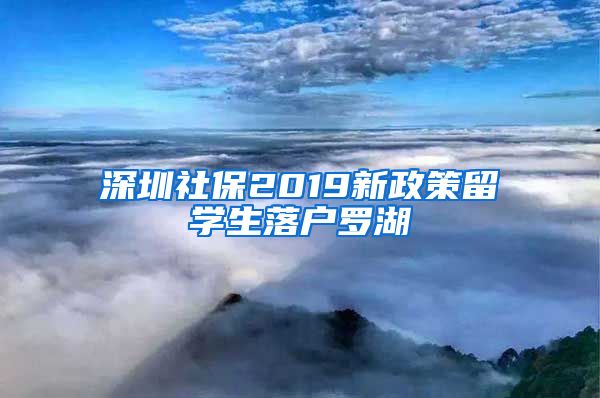 深圳社保2019新政策留学生落户罗湖