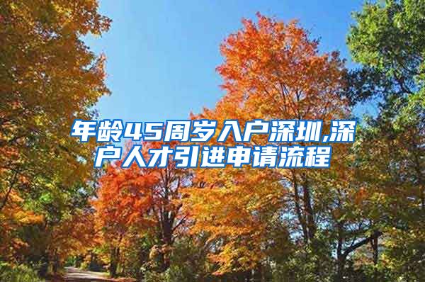 年龄45周岁入户深圳,深户人才引进申请流程