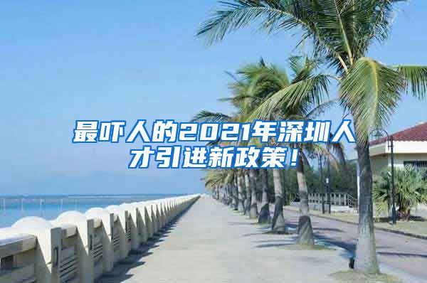 最吓人的2021年深圳人才引进新政策！