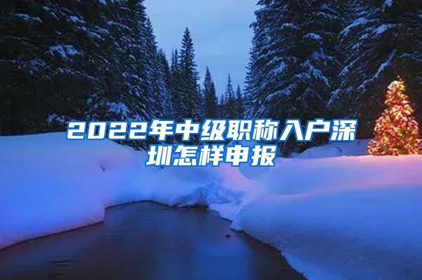 2022年中级职称入户深圳怎样申报