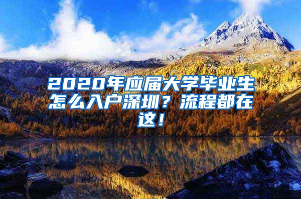 2020年应届大学毕业生怎么入户深圳？流程都在这！