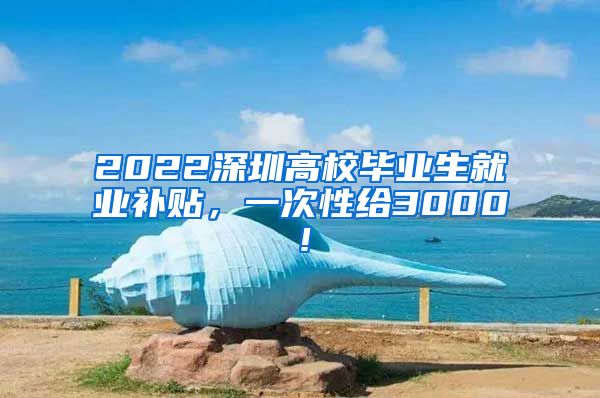 2022深圳高校毕业生就业补贴，一次性给3000！