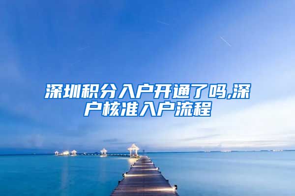 深圳积分入户开通了吗,深户核准入户流程