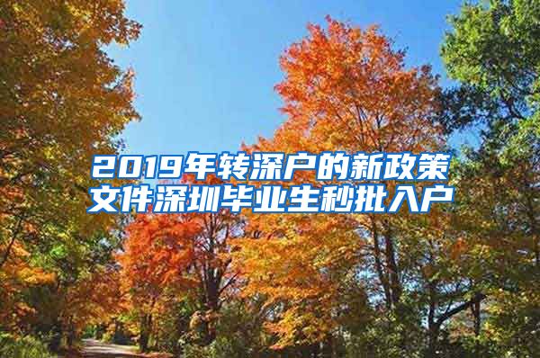 2019年转深户的新政策文件深圳毕业生秒批入户