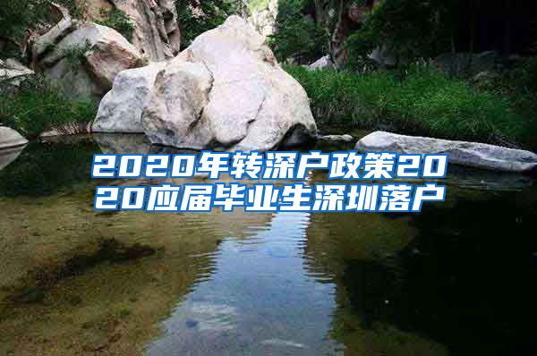 2020年转深户政策2020应届毕业生深圳落户