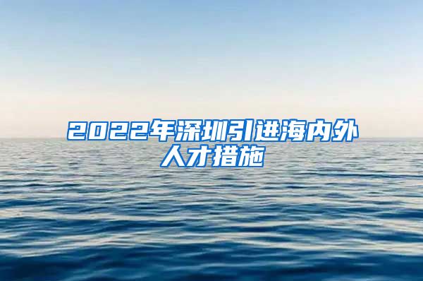 2022年深圳引进海内外人才措施