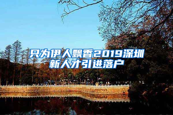 只为伊人飘香2019深圳新人才引进落户