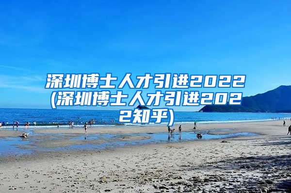 深圳博士人才引进2022(深圳博士人才引进2022知乎)