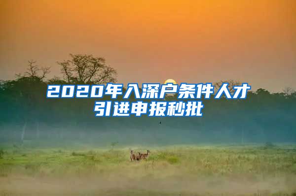 2020年入深户条件人才引进申报秒批