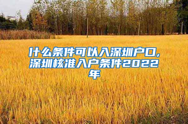 什么条件可以入深圳户口,深圳核准入户条件2022年