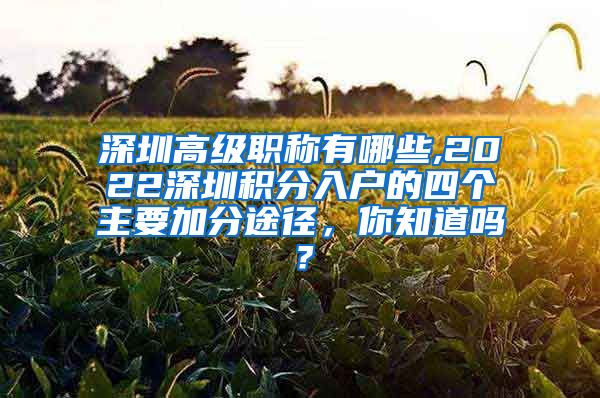 深圳高级职称有哪些,2022深圳积分入户的四个主要加分途径，你知道吗？