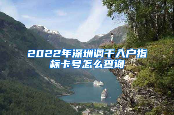 2022年深圳调干入户指标卡号怎么查询