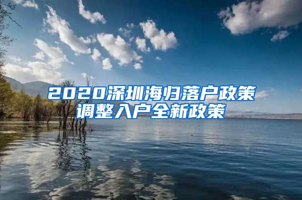 2020深圳海归落户政策调整入户全新政策